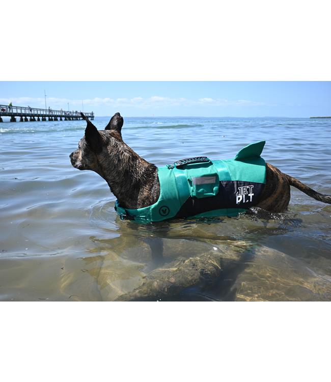 Jetpilot Venture Dog Life Vest in blue worn by dog swimming, showing buoyancy and freedom of movement